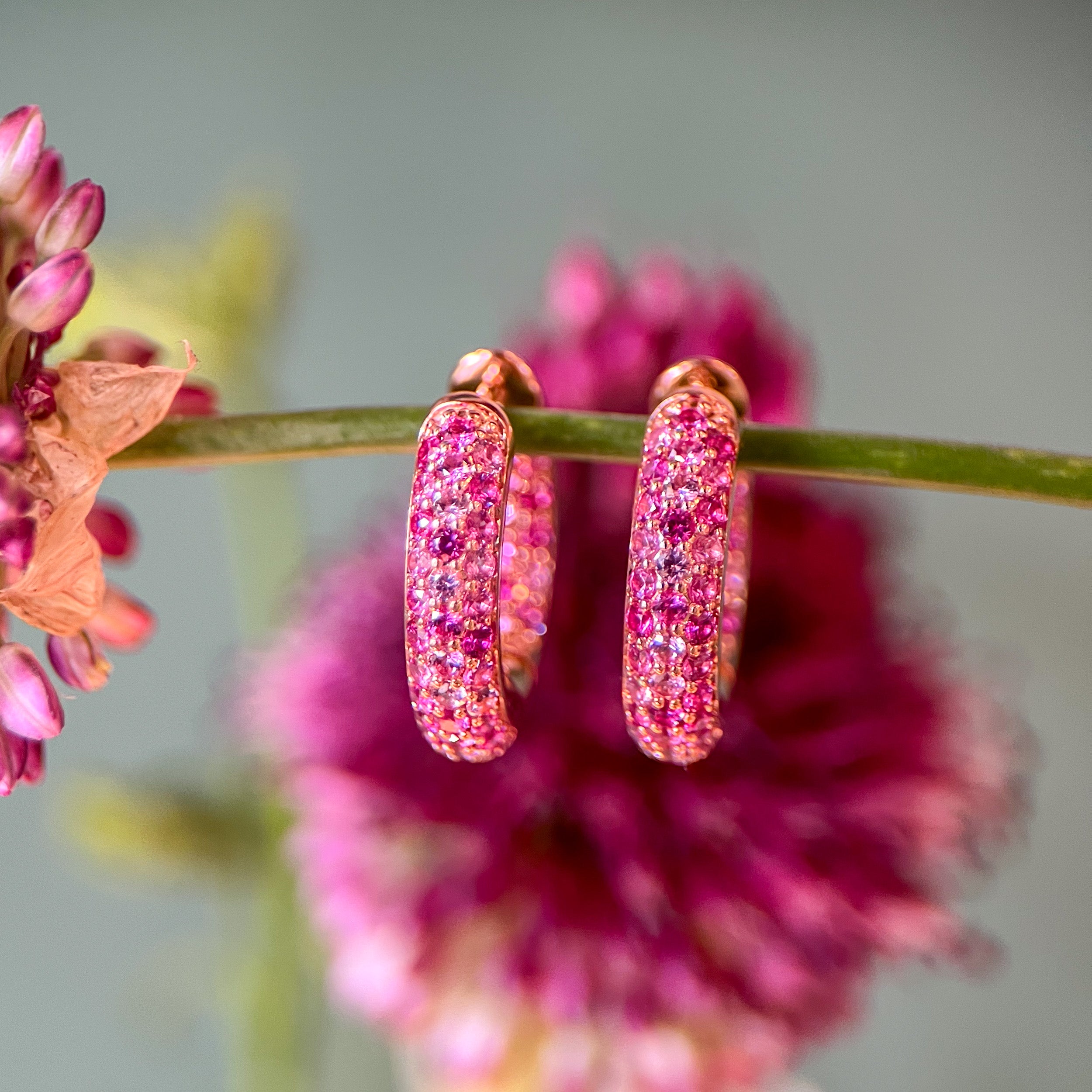 Large Pink Sapphire Huggie Hoops