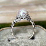 Edwardian Platinum Pearl Filigree Ring