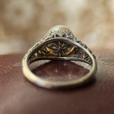 Edwardian Platinum Pearl Filigree Ring