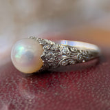 Edwardian Platinum Pearl Filigree Ring