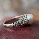 Edwardian Platinum Pearl Filigree Ring