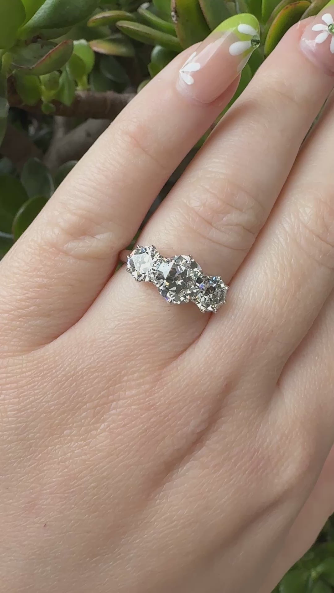 The Eleanor Ring